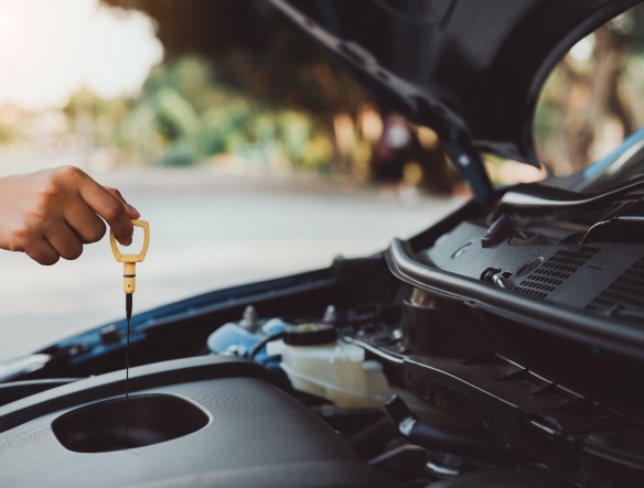 mechanic checking oil levels